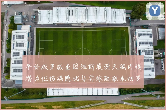 平价版罗威奎因坦斯展现天赋内线潜力但伤病隐忧与罚球致敬米切罗