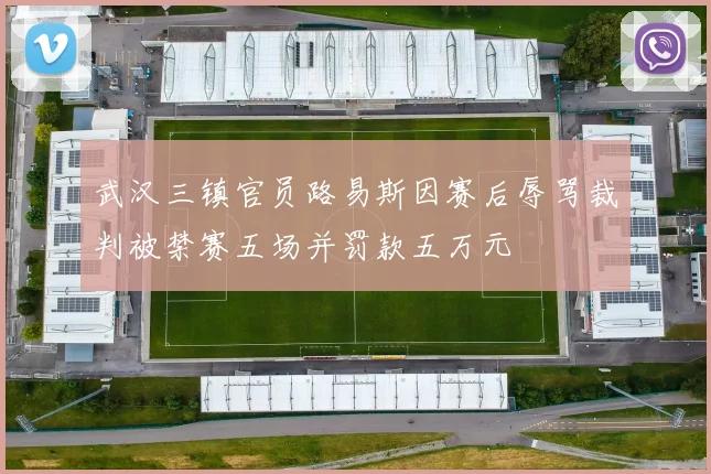 武汉三镇官员路易斯因赛后辱骂裁判被禁赛五场并罚款五万元
